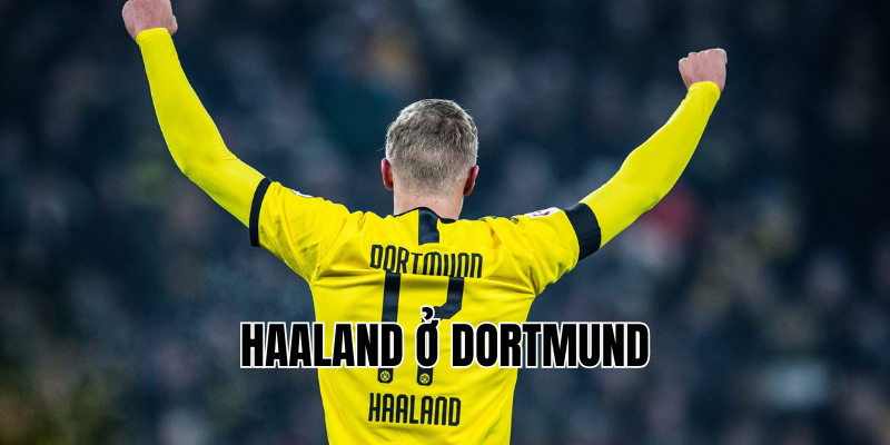 haaland ở dortmund