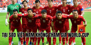 tại sao việt nam không tham gia world cup