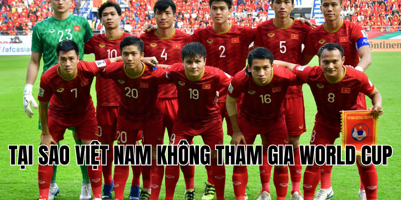tại sao việt nam không tham gia world cup